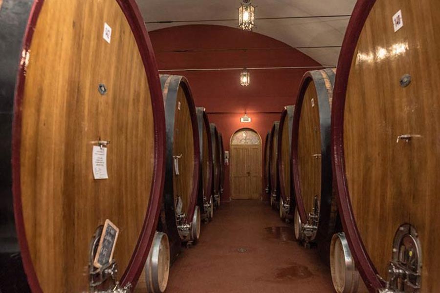 Cantina di Nizza