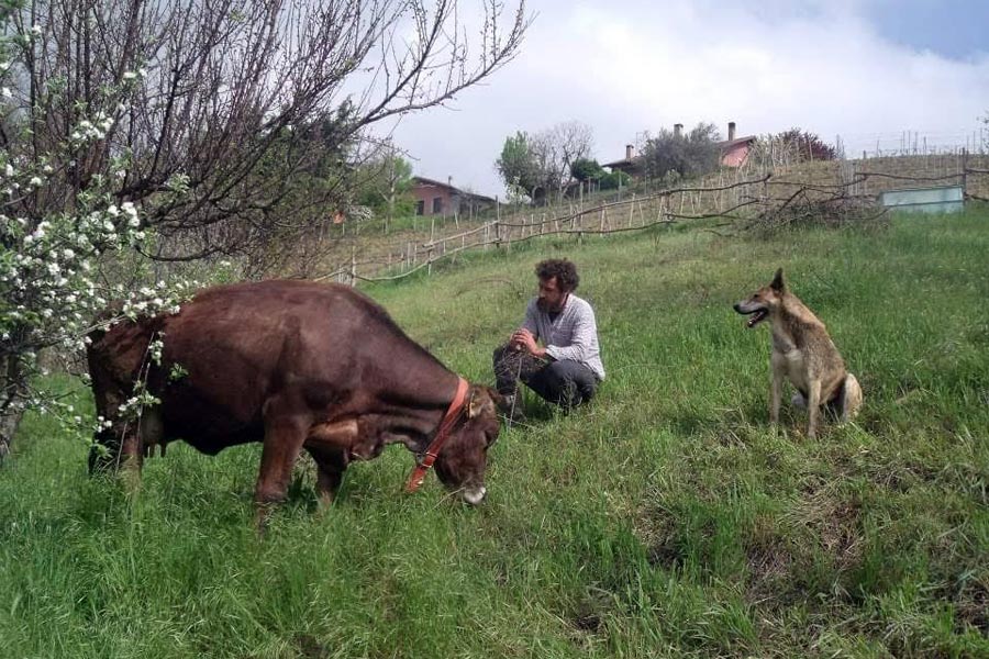 La Fazenda Bricco Civetta