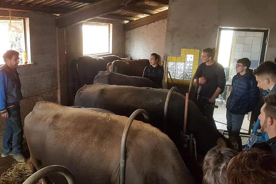 Fazenda Bricco Civetta