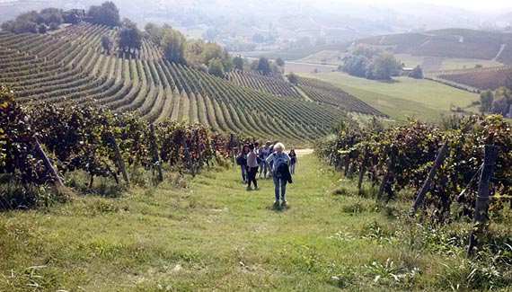 Discover Monferrato