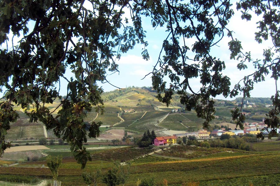 La panchina gigante di Fontanile