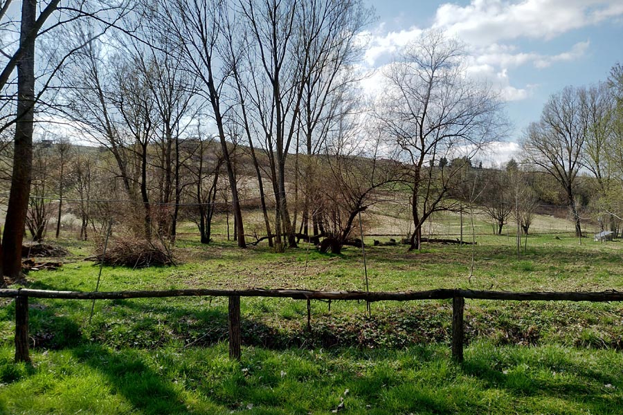 Tartufi a Mombaruzzo