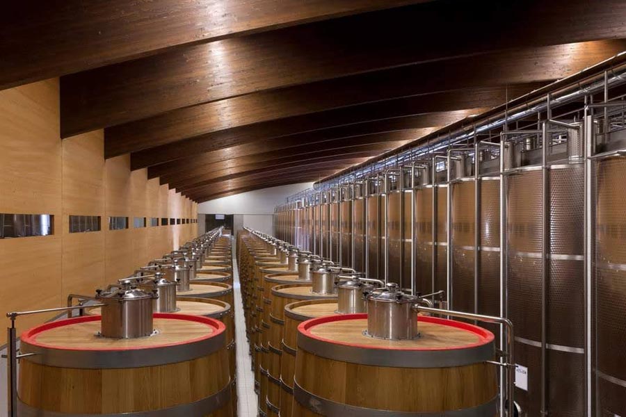 Cantina Terre da Vino